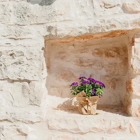 Trulli Delle Sete Guest house *