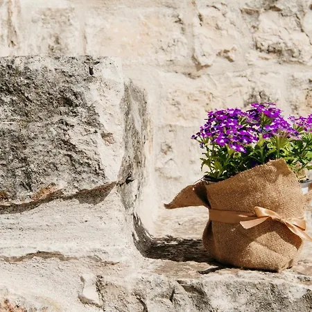Guest house Trulli Delle Sete